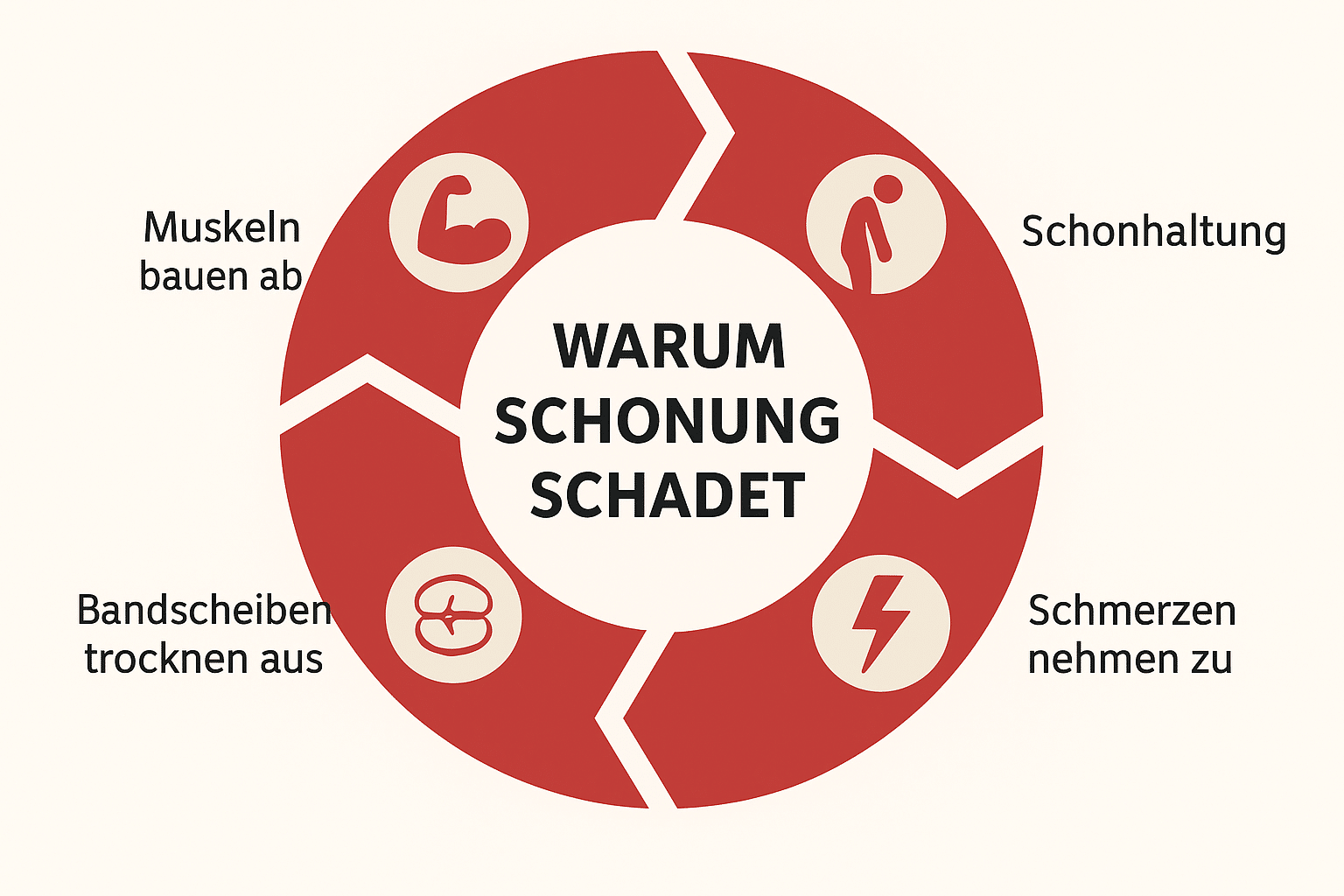 Infografik zeigt die Folgen von Schonung bei Bandscheibenvorfall: Muskelabbau, schlechtere Bandscheibenversorgung, mehr Schmerzen, höhere Nervensensibilität und psychische Belastung.