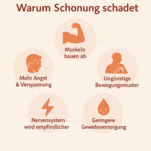Infografik mit fünf Icons in Kreisform zeigt die Folgen von zu viel Schonung: Muskeln bauen ab, ungünstige Bewegungsmuster, geringere Gewebsversorgung, Nervensystem wird empfindlicher, mehr Angst und Verspannung.
