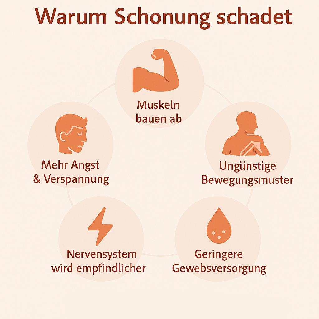 Infografik mit fünf Icons in Kreisform zeigt die Folgen von zu viel Schonung: Muskeln bauen ab, ungünstige Bewegungsmuster, geringere Gewebsversorgung, Nervensystem wird empfindlicher, mehr Angst und Verspannung.