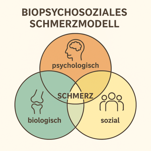 Infografik erklärt das biopsychosoziale Modell: Körperliche, psychologische und soziale Faktoren beeinflussen Arthroseschmerzen.